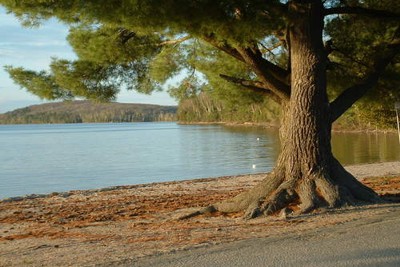  Lake Bernard / Sundridge