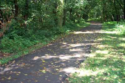 Hamilton Conservation Trails