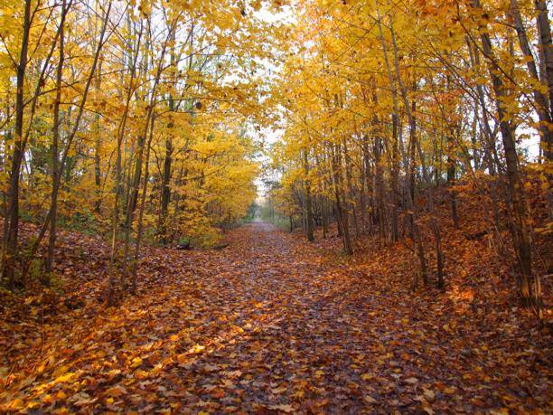 Connecting Communities Building Bridges